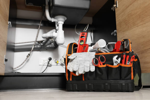 Best Residential Plumbing Services  in Goodview, MN