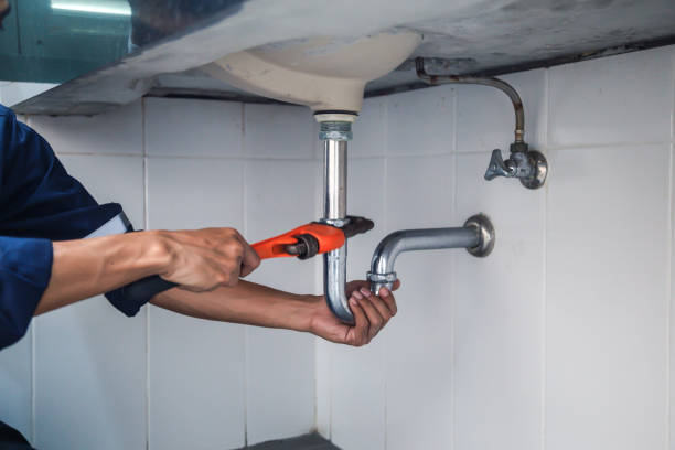 Best Plumbing Services Near Me  in Goodview, MN
